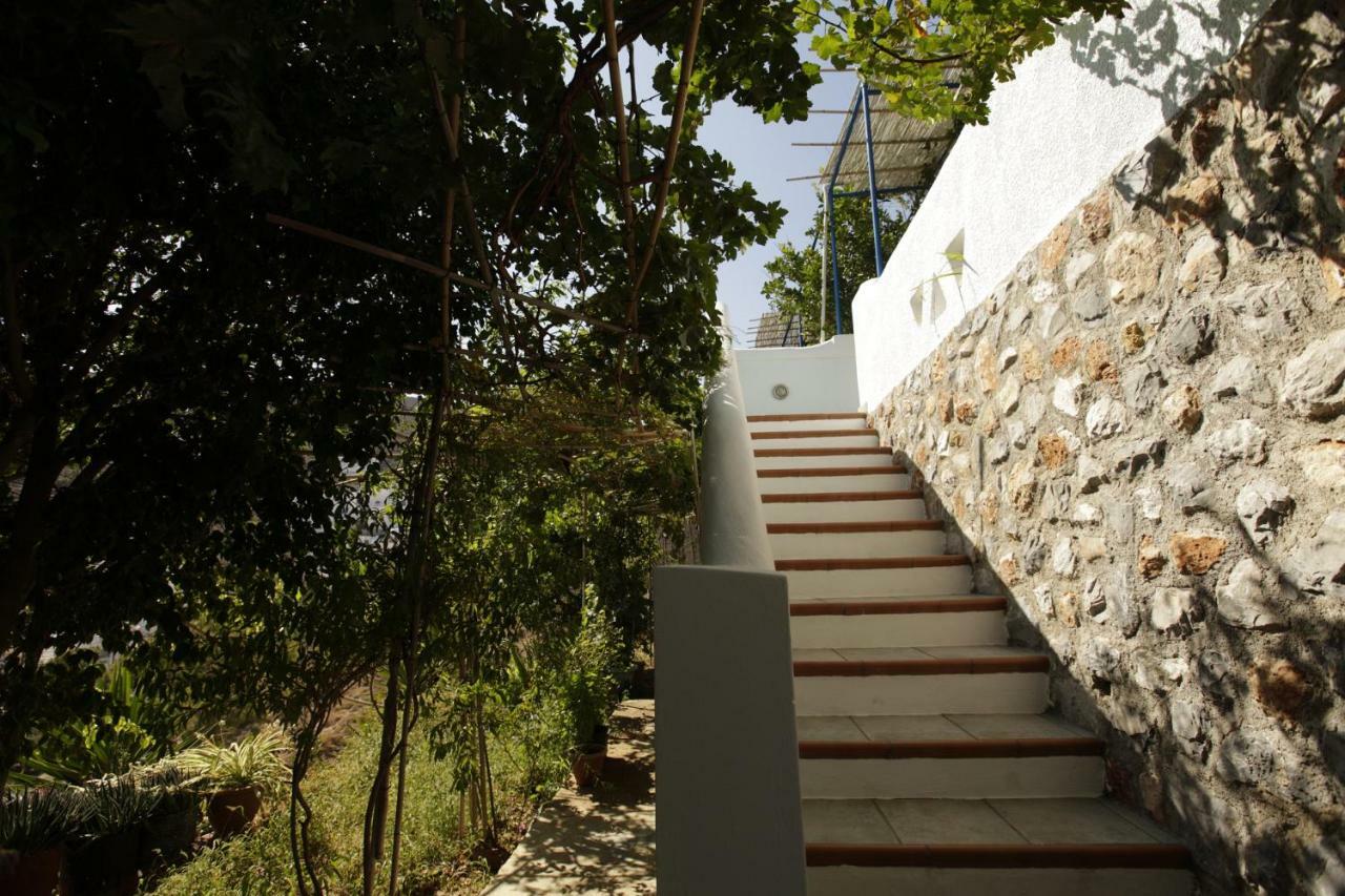 Butterfly View Suites Astypalaia ภายนอก รูปภาพ